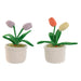 Държач на врати Home ESPRIT 14 x 14 x 30 cm (2 броя)