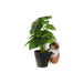 Декоративна фигурка Home ESPRIT Бял Кафяв 8 x 8 x 14 cm (4