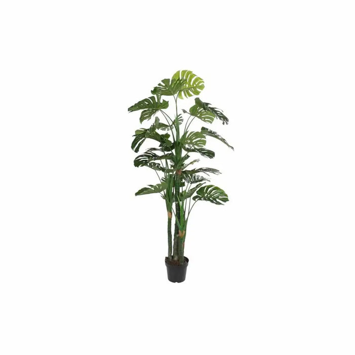Декоративно Растение DKD Home Decor Полипропилен (PP) EVA