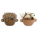 Декоративно Растение Home ESPRIT Цвете 22 x 22 x 14 cm (2