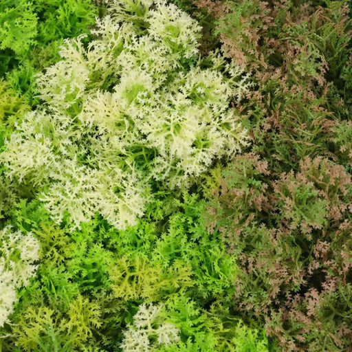 ДЕКОРАТИВНО ПАНО 100X100CM 1БР В ПАКЕТ ROSSIMA MZ 189052B