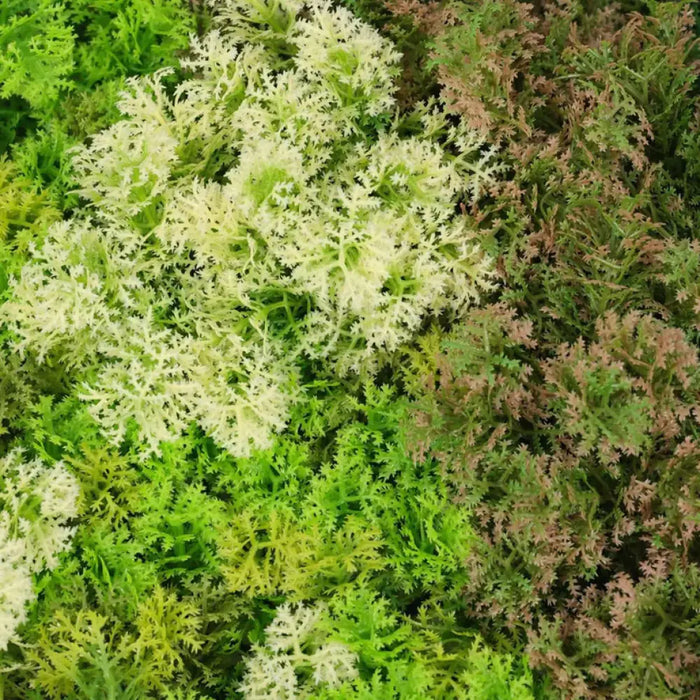ДЕКОРАТИВНО ПАНО 100X100CM 1БР В ПАКЕТ ROSSIMA MZ 189052B