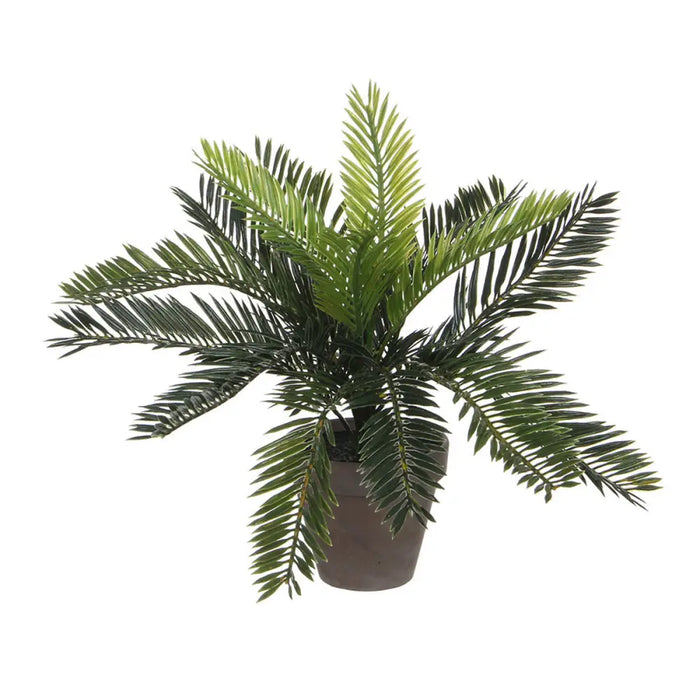 Декоративно Растение Mica Decorations Керамика Палма (11,5