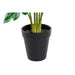 Декоративно Растение DKD Home Decor Зелен PE (20 x 20 x 40