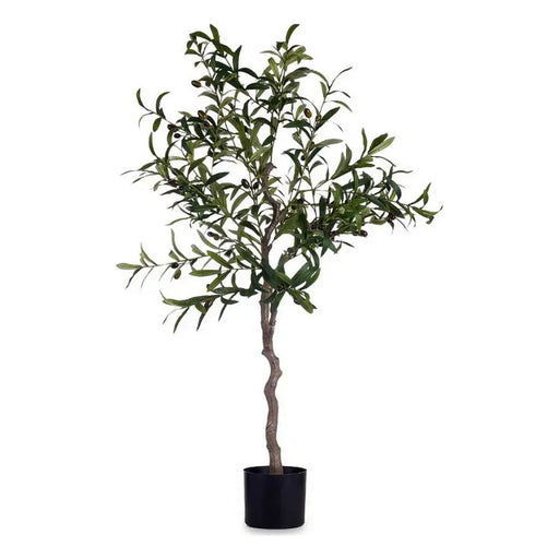 Декоративно Растение Ibergarden BRS-ADK101 BRS-ADK101