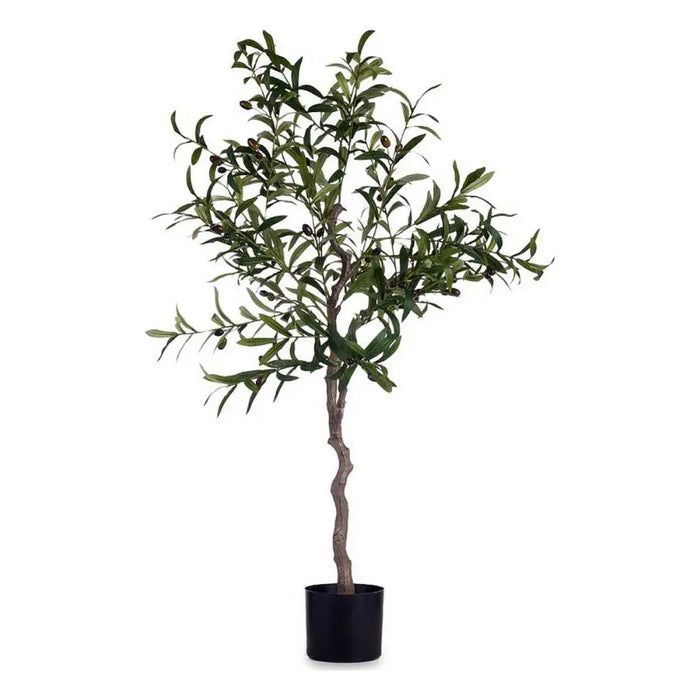 Декоративно Растение Ibergarden BRS-ADK101 BRS-ADK101