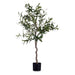 Декоративно Растение Ibergarden BRS-ADK101 BRS-ADK101