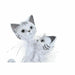 Декоративна фигурка DKD Home Decor 15 x 10 x 29 cm Бял