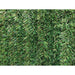 ДЕКОРАТИВНО ОЗЕЛЕНЯВАНЕ 200X300CM ROSSIMA БОР ЛУКС