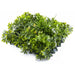 ДЕКОРАТИВНО ПАНО 50X50CM 1БР В ПАКЕТ GREEN WALL 135050