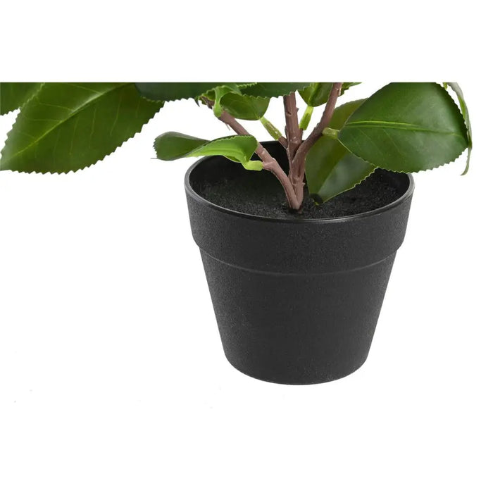 Декоративно Растение DKD Home Decor Зелен PP PE Фикус (2