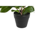 Декоративно Растение DKD Home Decor Зелен PP PE Фикус (2