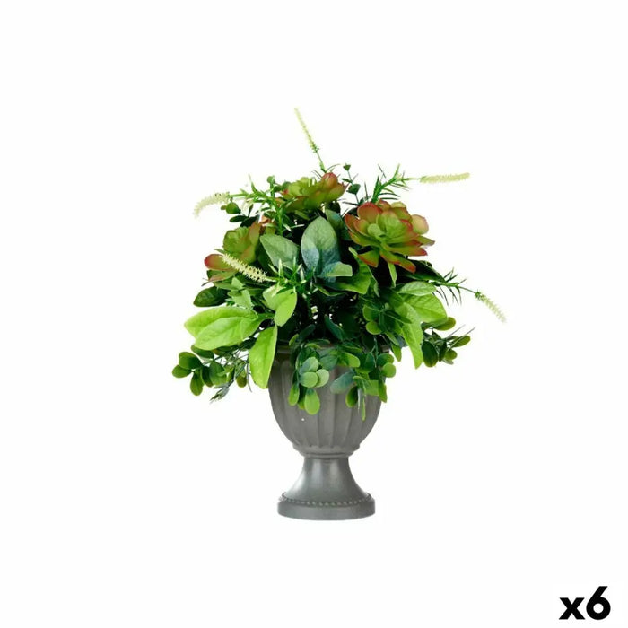 Декоративно Растение Ibergarden XD19-1370 XD19-1370
