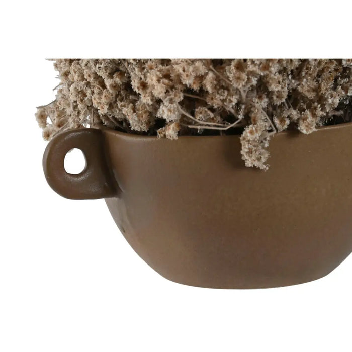 Декоративно Растение Home ESPRIT Цвете 22 x 22 x 14 cm (2