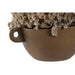 Декоративно Растение Home ESPRIT Цвете 22 x 22 x 14 cm (2