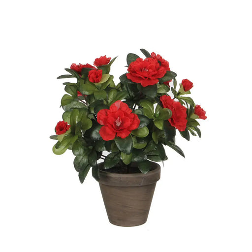 Декоративно Растение Mica Decorations 10,5 x 21,5 x 15 cm