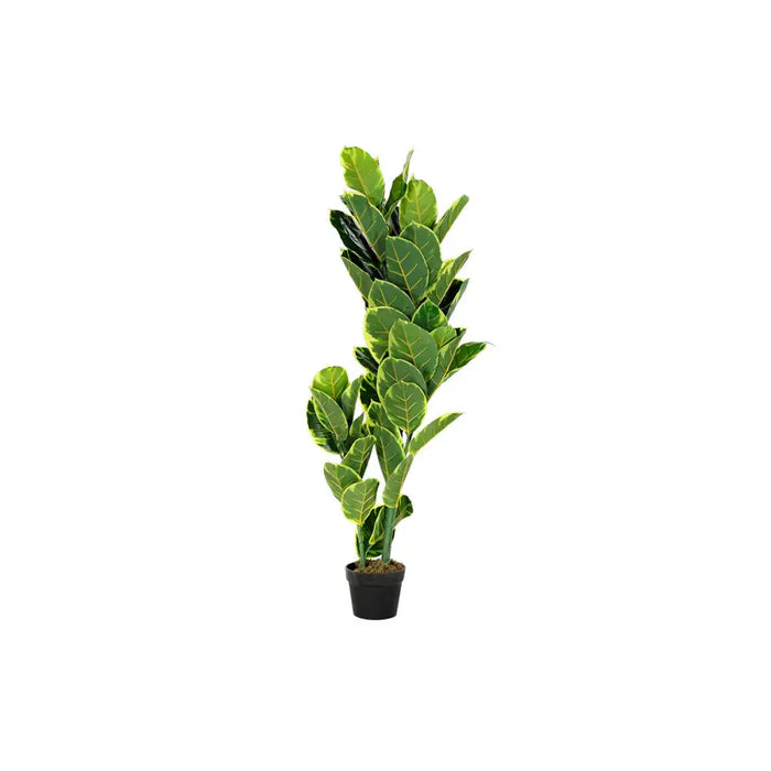 Декоративно Растение DKD Home Decor полиетилен Зелен 40 x