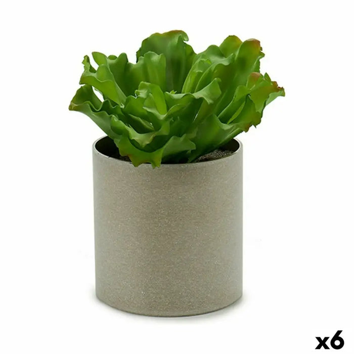 Декоративно Растение Ibergarden YC181588 YC181588 20 x 25 x