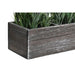 Декоративно Растение DKD Home Decor Дървен полиетилен 32 x