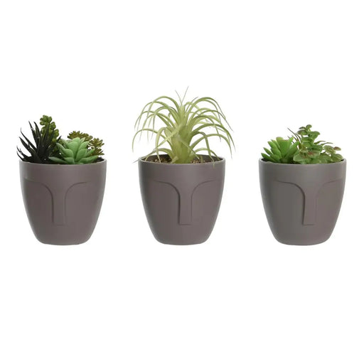 Декоративно Растение DKD Home Decor Сив Бежов полиетилен