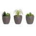Декоративно Растение DKD Home Decor Сив Бежов полиетилен