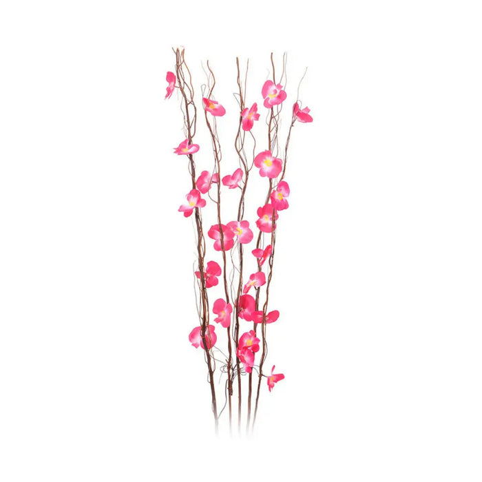 Декоративно Растение