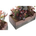 Декоративно Растение DKD Home Decor 19 x 9 x 22 cm Розов