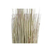 Декоративно Растение DKD Home Decor 25 x 25 x 68 cm Кафяв