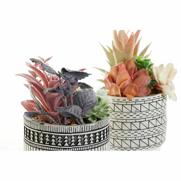 Декоративно Растение DKD Home Decor Кактус Смола полиетилен