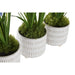 Декоративно Растение DKD Home Decor Пяна Син Розов Жълт