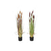 Декоративно Растение DKD Home Decor полиетилен Зелен