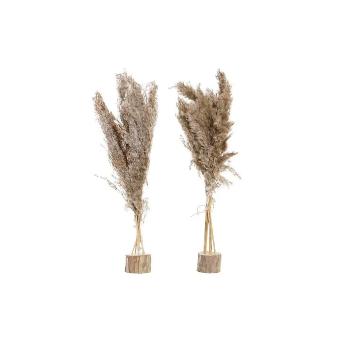 Декоративно Растение DKD Home Decor PVC Пера Естествен 35 x