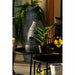 Декоративно Растение DKD Home Decor PVC полипропилен 25 x