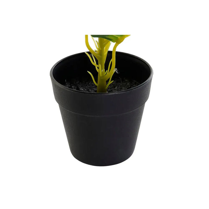 Декоративно Растение DKD Home Decor PVC полипропилен 25 x
