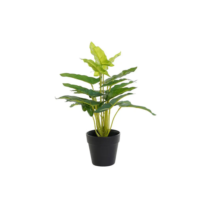 Декоративно Растение DKD Home Decor PVC полипропилен 25 x