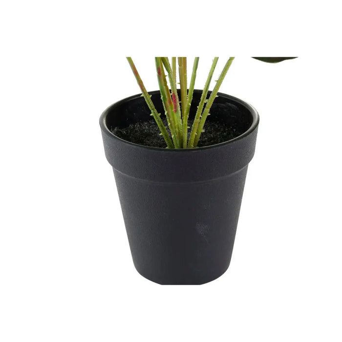 Декоративно Растение DKD Home Decor Розов Зелен PE (10 x 10
