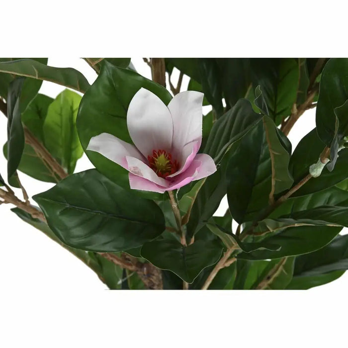 Декоративно Растение DKD Home Decor Розов Зелен PE (60 x 60