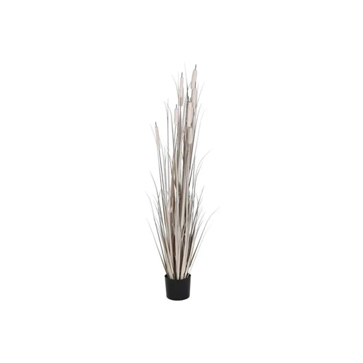 Декоративно Растение DKD Home Decor Тръстики (45 x 45 x 150
