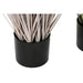 Декоративно Растение Home ESPRIT PVC полиетилен 35 x 35 x