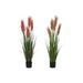 Декоративно Растение Home ESPRIT PVC полиетилен 35 x 35 x