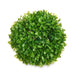Декоративно Растение Ibergarden 552 552 Пластмаса Pall 17 x