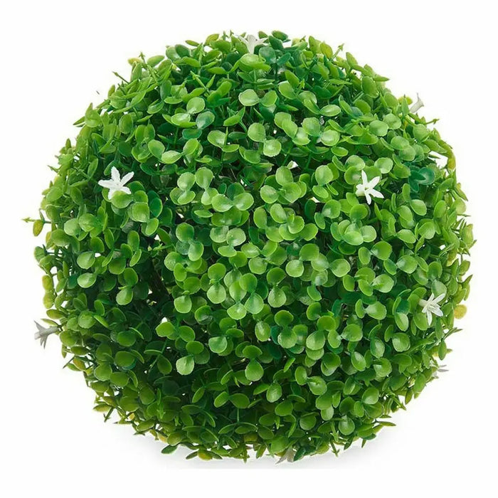 Декоративно Растение Ibergarden 555 555 Пластмаса Lilled