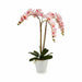 Декоративно Растение Ibergarden A18124-71-3WH A18124-71-3WH