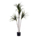 Декоративно Растение Ibergarden BRS-ADE175 BRS-ADE175
