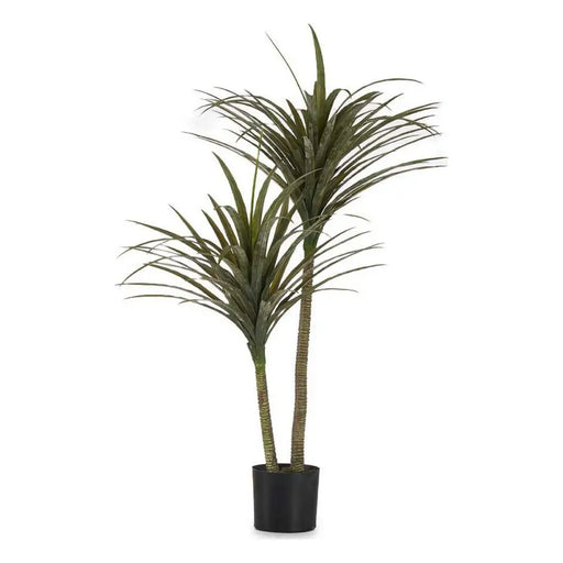 Декоративно Растение Ibergarden BRS-ADE179 BRS-ADE179