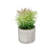 Декоративно Растение Ibergarden QY-H011 QY-H011 Дървен