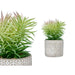 Декоративно Растение Ibergarden QY-H011 QY-H011 Дървен