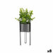 Декоративно Растение Ibergarden QY-H096 QY-H096 Метал