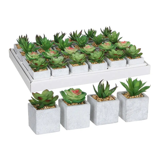 Декоративно Растение Mica Decorations 8 x 5 cm Зелен PVC