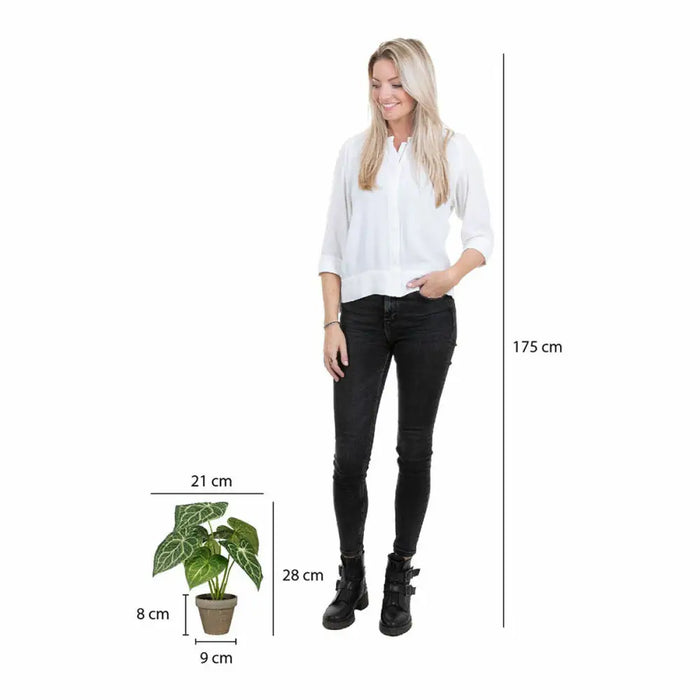 Декоративно Растение Mica Decorations Caladium Ø 21 x 28 cm